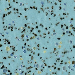 Polysafe Vinyl Cool Aqua 20m x 2m - Price per 1m2